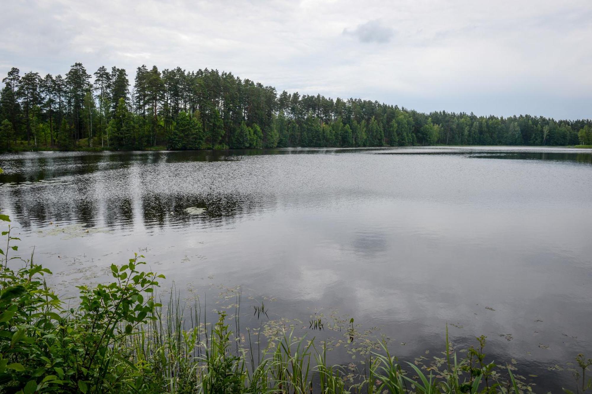Alberta Diki Upesciems 객실 사진